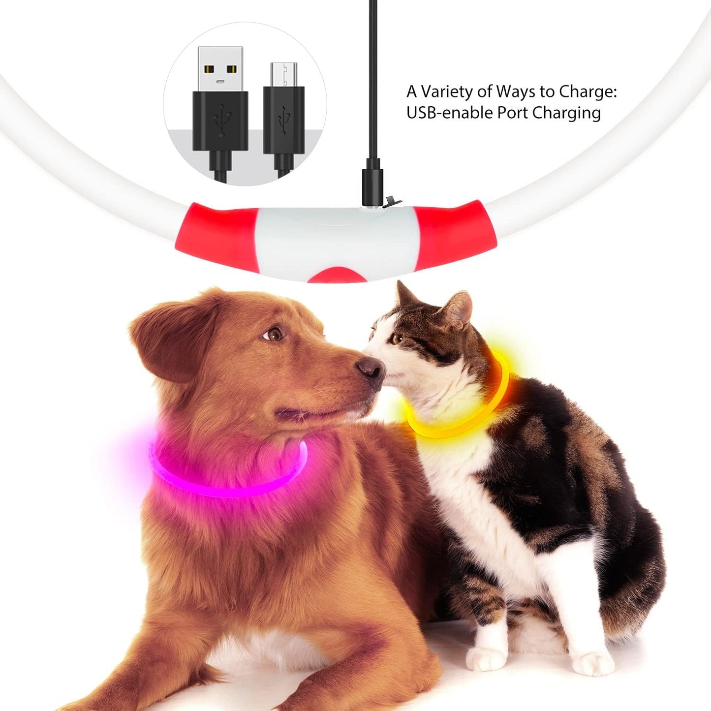 LED Dog Collar USB Rechargeable Glowing Pet Collars Lighted Up Safety Necklace Glow In The Dark For You Your Dogs