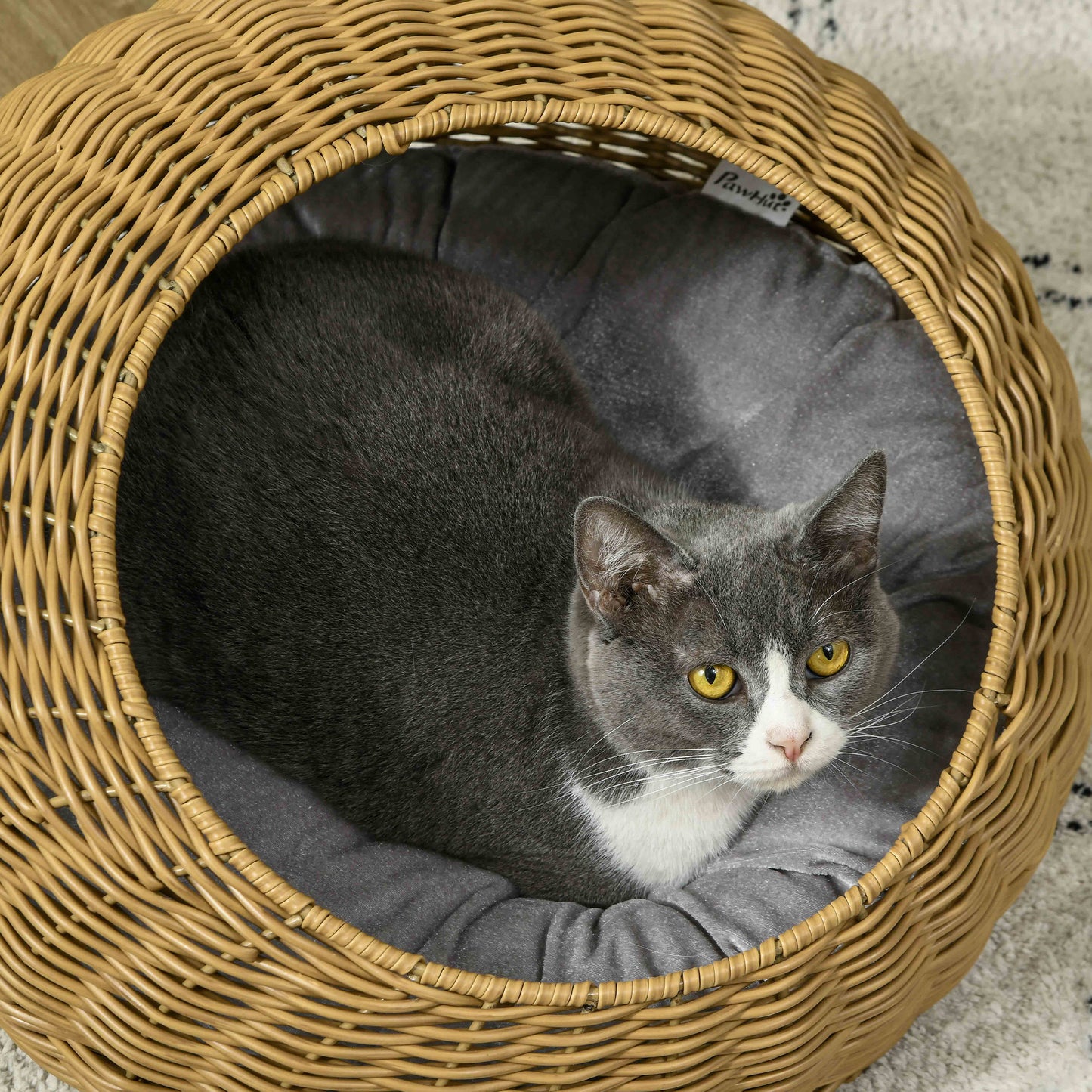 Cat Bed with Washable Cushion for Cats