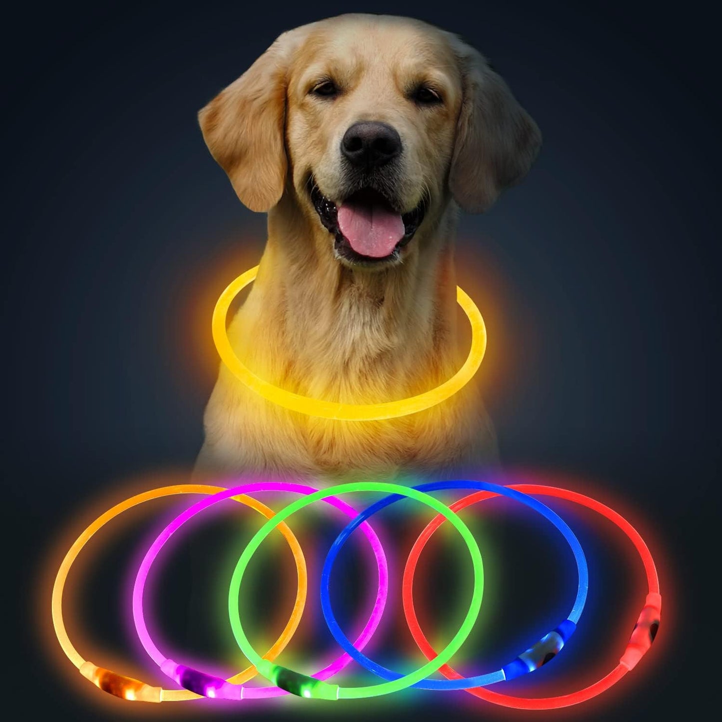 LED Dog Collar USB Rechargeable Glowing Pet Collars Lighted Up Safety Necklace Glow In The Dark For You Your Dogs